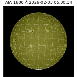 saia - 2026-02-03T05:00:14.118000