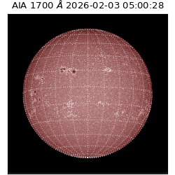 saia - 2026-02-03T05:00:28.710000