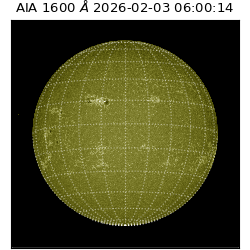 saia - 2026-02-03T06:00:14.126000