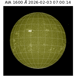 saia - 2026-02-03T07:00:14.124000