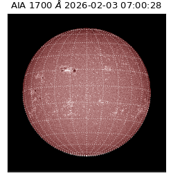 saia - 2026-02-03T07:00:28.721000