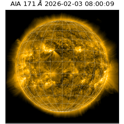 saia - 2026-02-03T08:00:09.350000