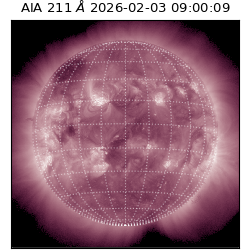 saia - 2026-02-03T09:00:09.625000