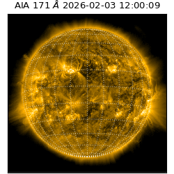 saia - 2026-02-03T12:00:09.349000