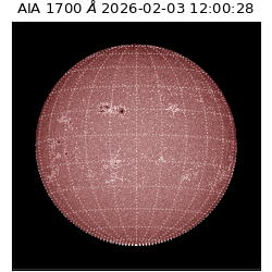 saia - 2026-02-03T12:00:28.721000