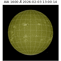 saia - 2026-02-03T13:00:14.125000