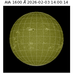 saia - 2026-02-03T14:00:14.124000