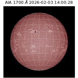 saia - 2026-02-03T14:00:28.718000