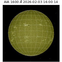 saia - 2026-02-03T16:00:14.132000