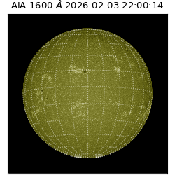 saia - 2026-02-03T22:00:14.126000