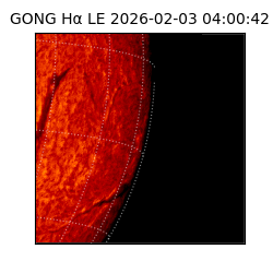 gong - 2026-02-03T04:00:42