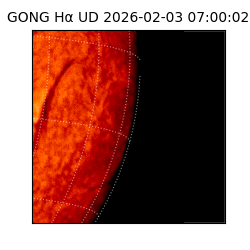 gong - 2026-02-03T07:00:02