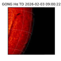 gong - 2026-02-03T09:00:22