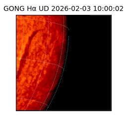 gong - 2026-02-03T10:00:02
