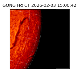 gong - 2026-02-03T15:00:42