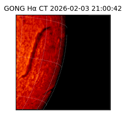 gong - 2026-02-03T21:00:42