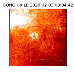 gong - 2026-02-03T03:04:42