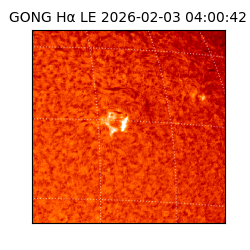 gong - 2026-02-03T04:00:42
