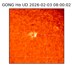 gong - 2026-02-03T08:00:02