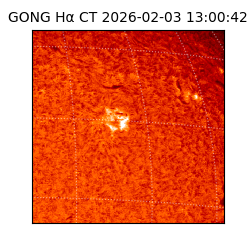 gong - 2026-02-03T13:00:42