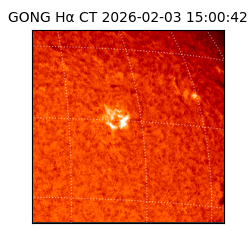 gong - 2026-02-03T15:00:42