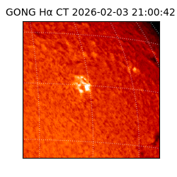 gong - 2026-02-03T21:00:42