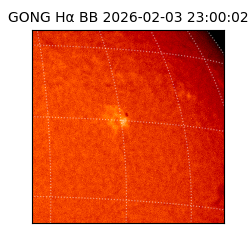 gong - 2026-02-03T23:00:02