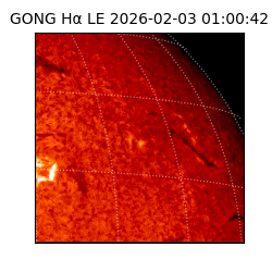 gong - 2026-02-03T01:00:42