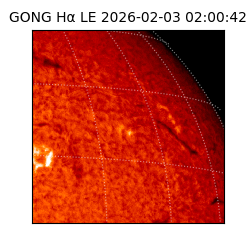 gong - 2026-02-03T02:00:42
