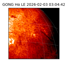 gong - 2026-02-03T03:04:42