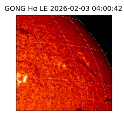 gong - 2026-02-03T04:00:42