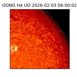 gong - 2026-02-03T06:00:02