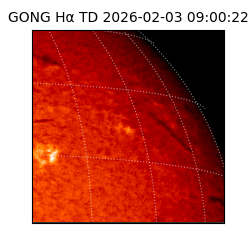 gong - 2026-02-03T09:00:22