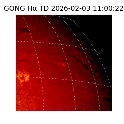 gong - 2026-02-03T11:00:22