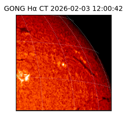 gong - 2026-02-03T12:00:42