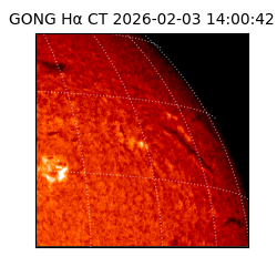 gong - 2026-02-03T14:00:42