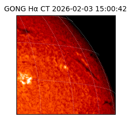 gong - 2026-02-03T15:00:42