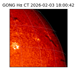 gong - 2026-02-03T18:00:42