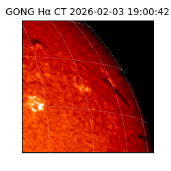 gong - 2026-02-03T19:00:42
