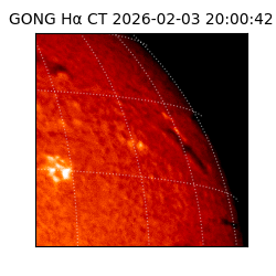 gong - 2026-02-03T20:00:42