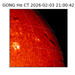 gong - 2026-02-03T21:00:42
