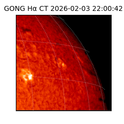 gong - 2026-02-03T22:00:42