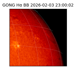 gong - 2026-02-03T23:00:02