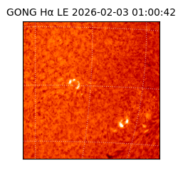 gong - 2026-02-03T01:00:42