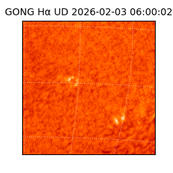 gong - 2026-02-03T06:00:02