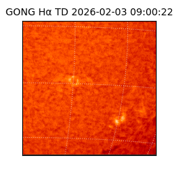 gong - 2026-02-03T09:00:22