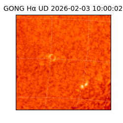 gong - 2026-02-03T10:00:02