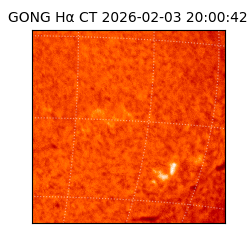 gong - 2026-02-03T20:00:42