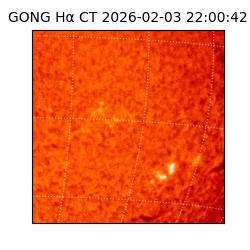 gong - 2026-02-03T22:00:42