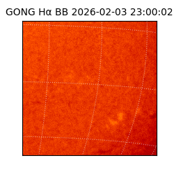 gong - 2026-02-03T23:00:02